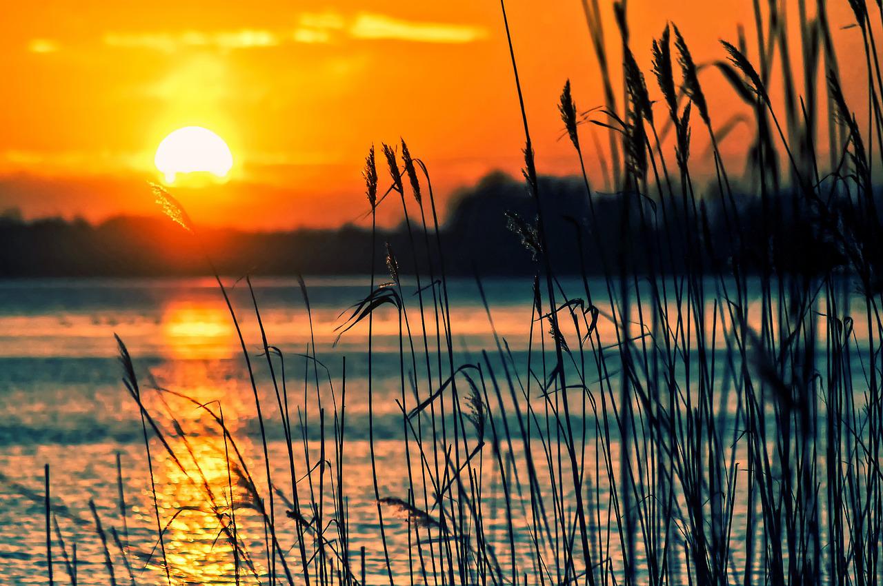 lake-reeds-sunset-696098